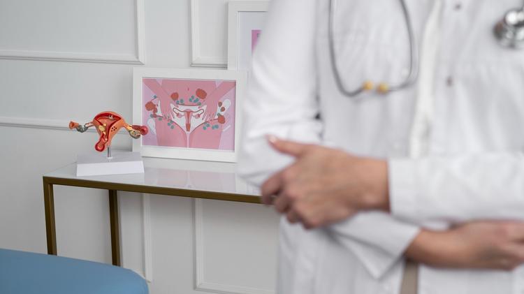 Endometrite crônica e a falha reprodutiva recorrente