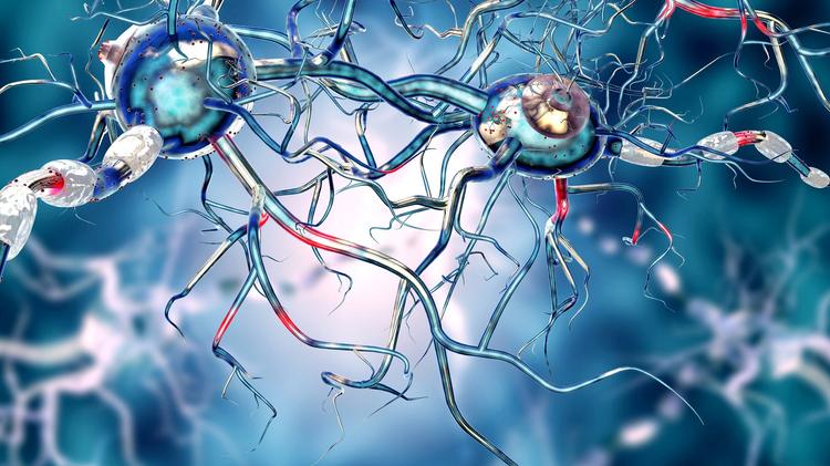Opções terapêuticas para dor neuropática