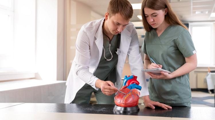 A importância da microcirculação no choque cardiogênico