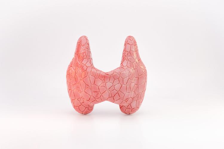 Calcitonina no seguimento do carcinoma medular