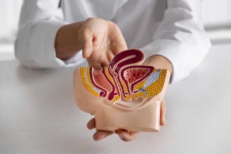 Reposição de testosterona e a próstata: novas evidências