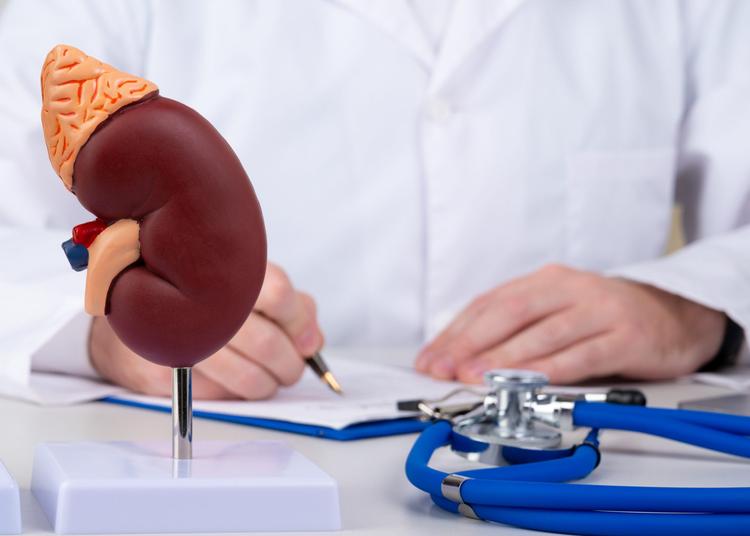 Paragangliomas: o que você precisa saber?