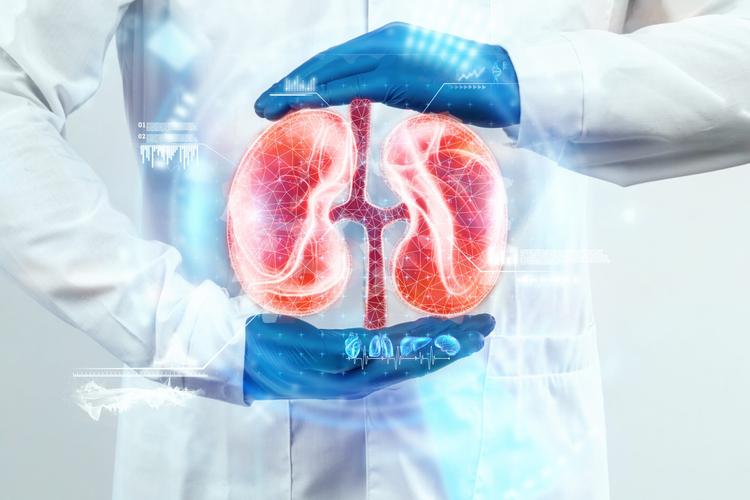 A semaglutida é capaz de reduzir albuminúria e melhorar a função renal?