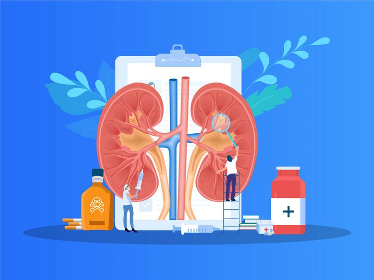 Estudo EMPA-KIDNEY: Retardo na progressão da doença renal