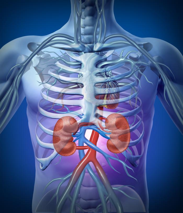 Tratamento de hipertensão arterial no paciente nefropata: qual o alvo?