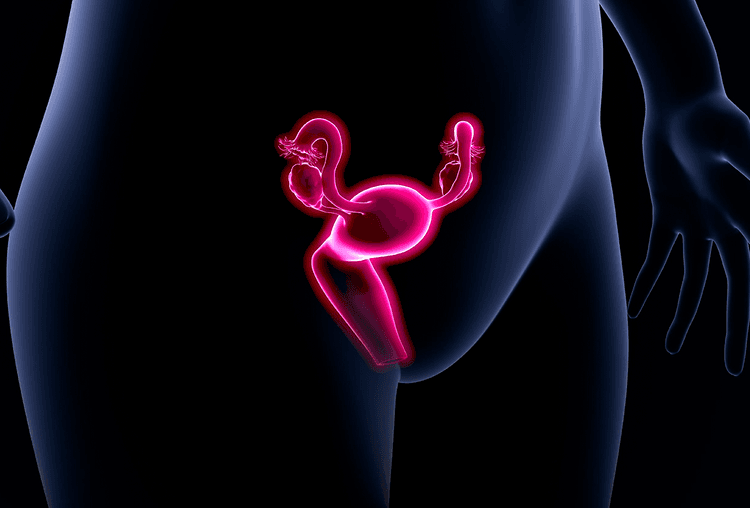 Desvendando a Ligação Entre a Síndrome do X Frágil e a Insuficiência Ovariana Prematura: Implicações para a Prática Clínica