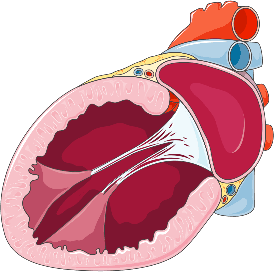 Insuficiência cardíaca e nefropatia: como manejar?
