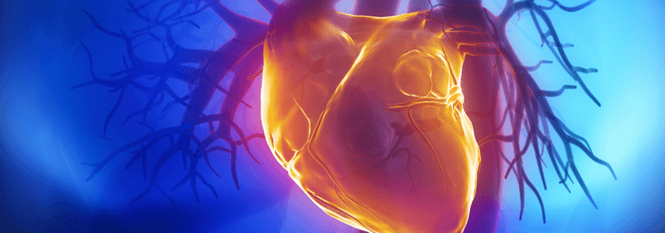 LIFE: vale a pena usar sacubutril-valsartana para pacientes com IC avançada?