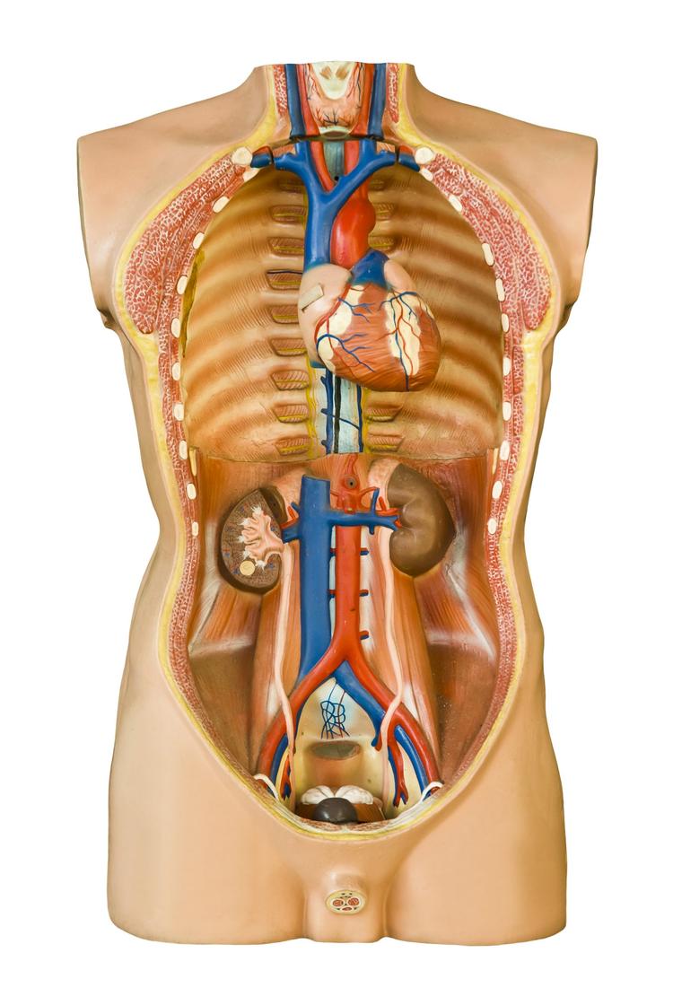 Aneurisma de aorta em pacientes nonagenários: o que fazer?