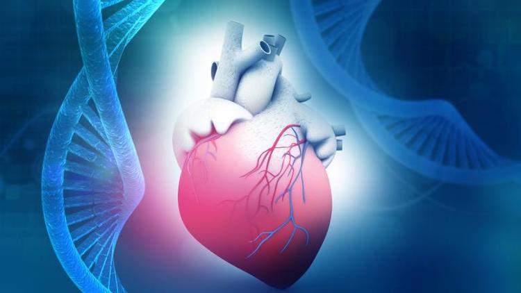 Cardiomiopatia Dilatada e Genética: o que você precisa saber?