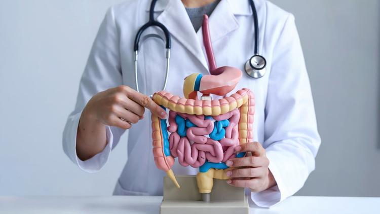 síndrome de down e doenças gastrointestinais