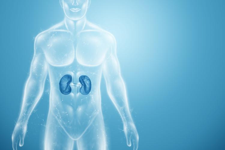 EMPA-KIDNEY: empagliflozina é útil em pacientes renais crônicos?