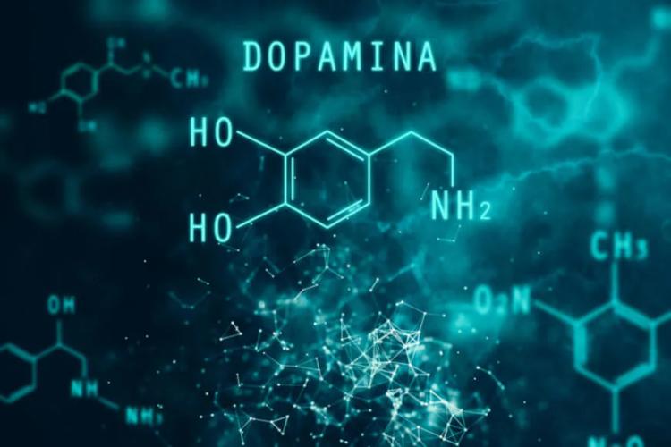 Jejum de Dopamina: já ouviu falar?