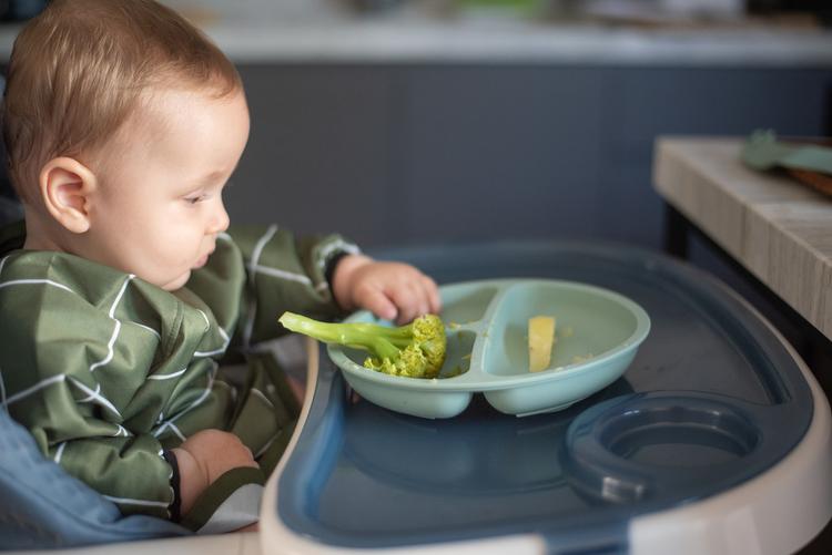 introdução alimentar