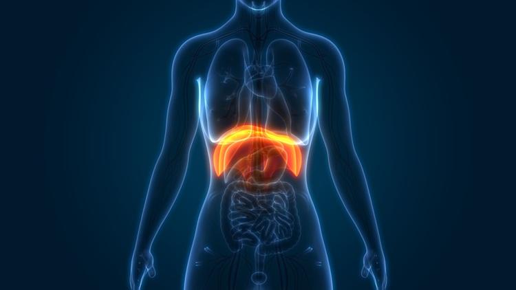 Eventração diafragmática congênita: devemos manter o tratamento cirúrgico?