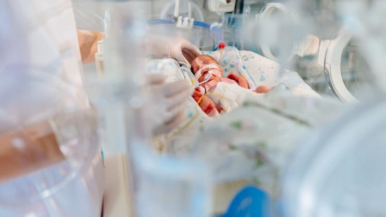 bebê em uti neonatal