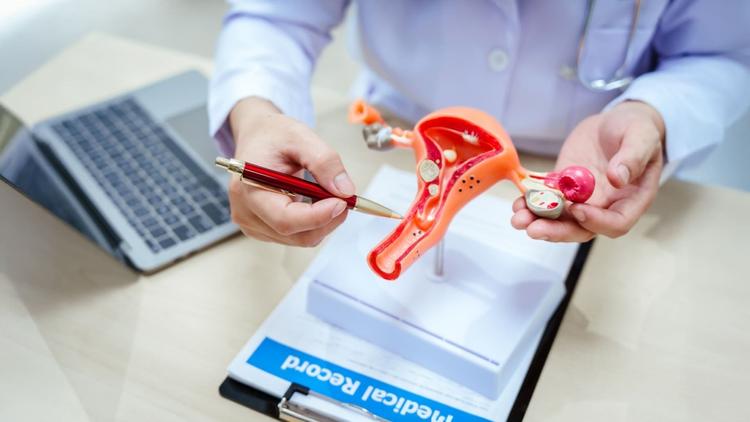 SNHGs no câncer de colo uterino desvendando os fios moleculares da doença