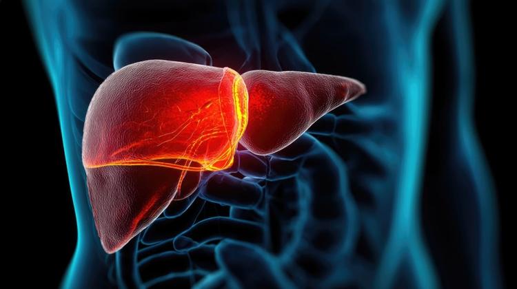 Inibidores de pd-1pd-l1 e antiangiogênicos vs. sorafenibe no hepatocarcinoma