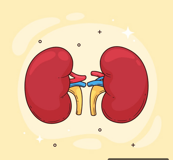 Diretriz sobre Doença Renal do Diabetes: abordagem por etapas