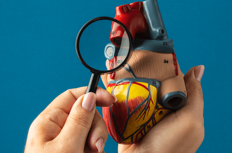 Estudo SOUL: Semaglutida Oral em Pacientes com Diabetes Tipo 2 de Alto Risco