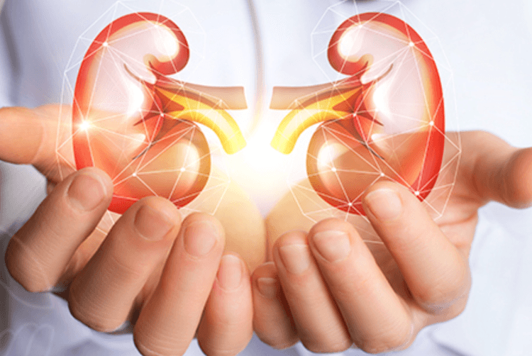 Metformina confere proteção renal em pacientes com diabetes?