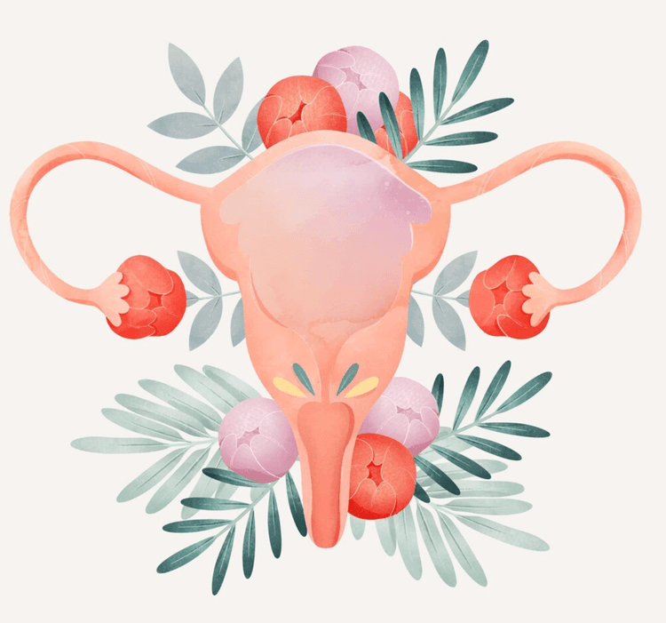 Novo guideline de insuficiência ovariana prematura: quais as consequências da doença?