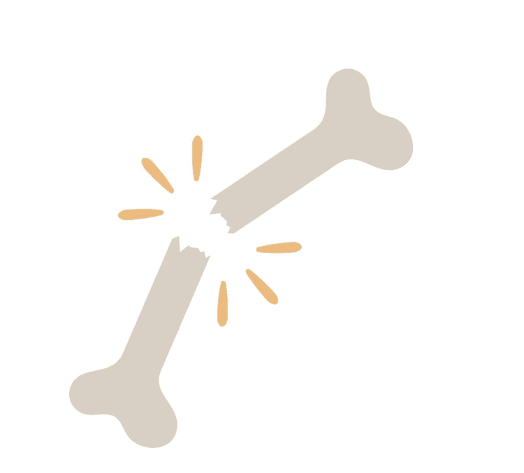 Retrospectiva 2024: o que tivemos de novidade em metabolismo ósseo