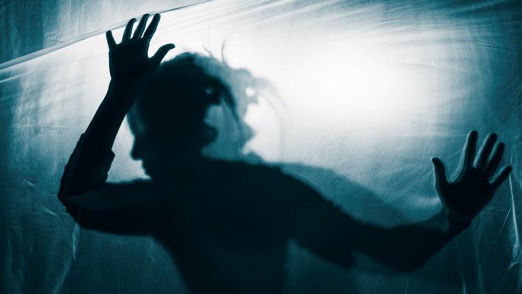 BRAIN 2025: A mente que cria o mundo: neurociência, psicose e a realidade na esquizofrenia