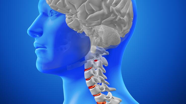 Mielopatia associada ao HTLV-1: Novos horizontes no tratamento?