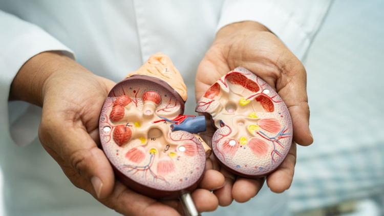 Doença renal diabética: entenda o conceito e as principais atualizações da SSN