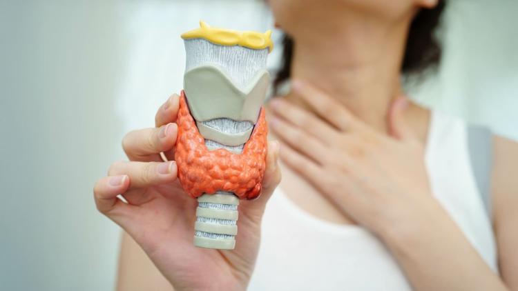 Suplementação pré-operatória de cálcio e vitamina D em tireoidectomias