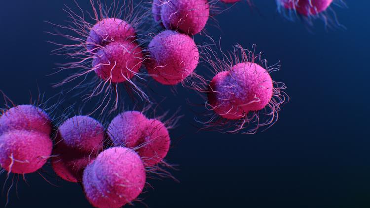 Nova vacina contra gonorreia começa a ser aplicada no Reino Unido