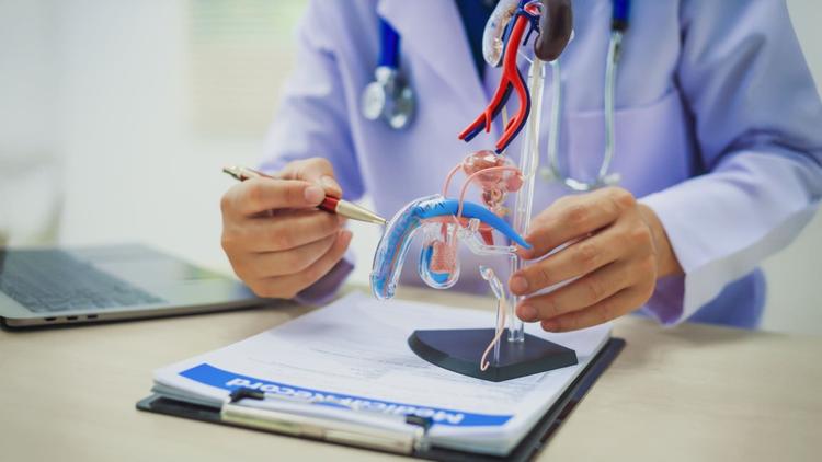 Uma revisão sobre neoplasia de pênis e seus aspectos cirúrgicos