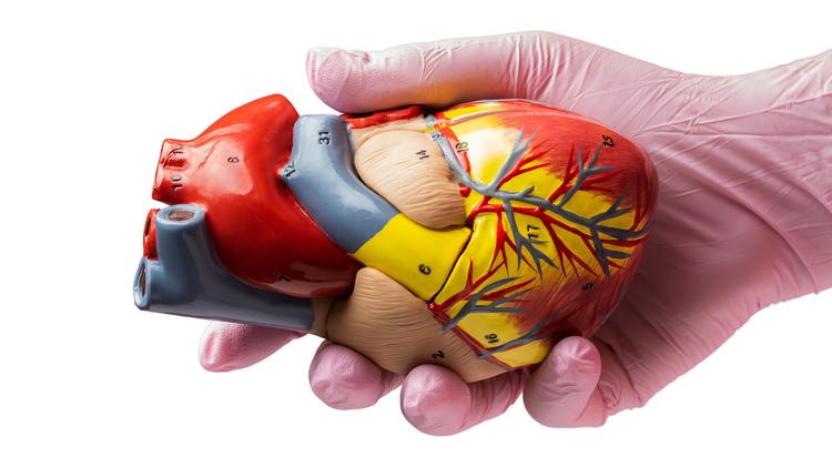 Revascularização completa guiada por QFR no IAMCSST