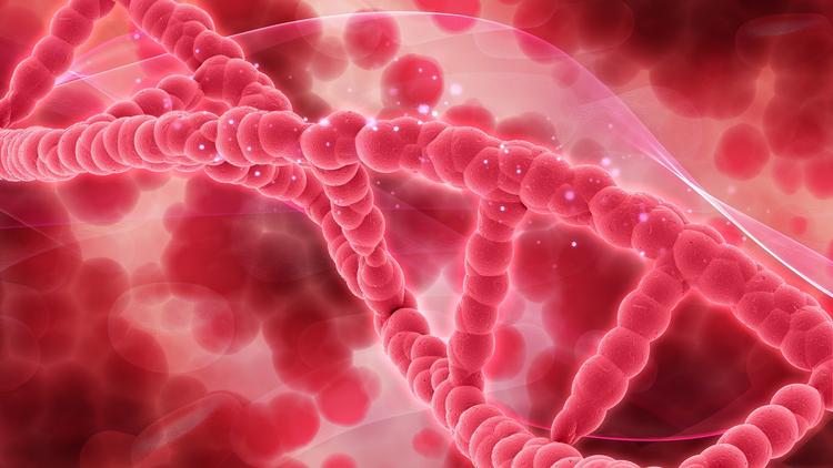 Entenda o espectro dos distúrbios X frágil