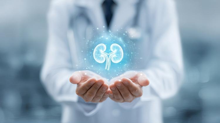 Recuperação Renal Pós-Lesão Renal Aguda