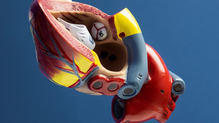 Edoxabana após troca de valva biológica: segurança e eficácia