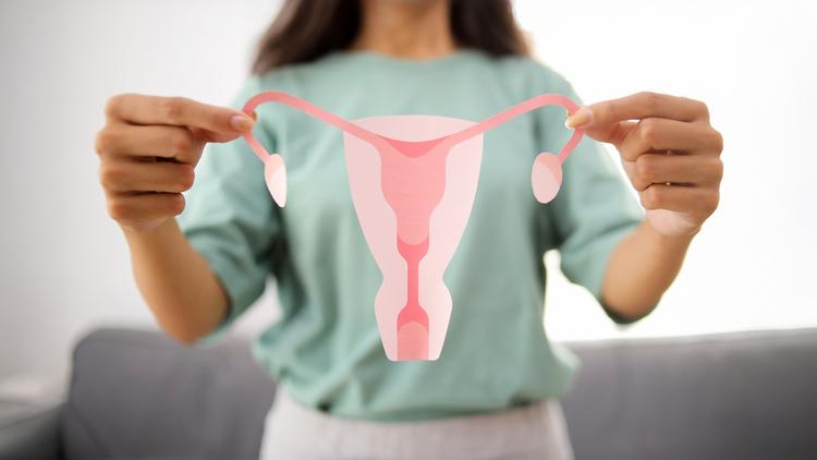 A microbiota do trato reprodutivo feminino e o câncer endometrial