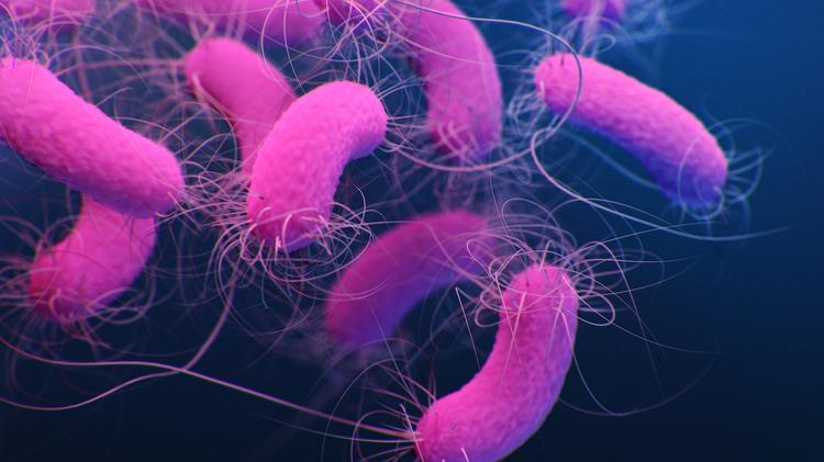 Infecções por bactérias Gram-negativas multirresistentes: Nova diretriz brasileira