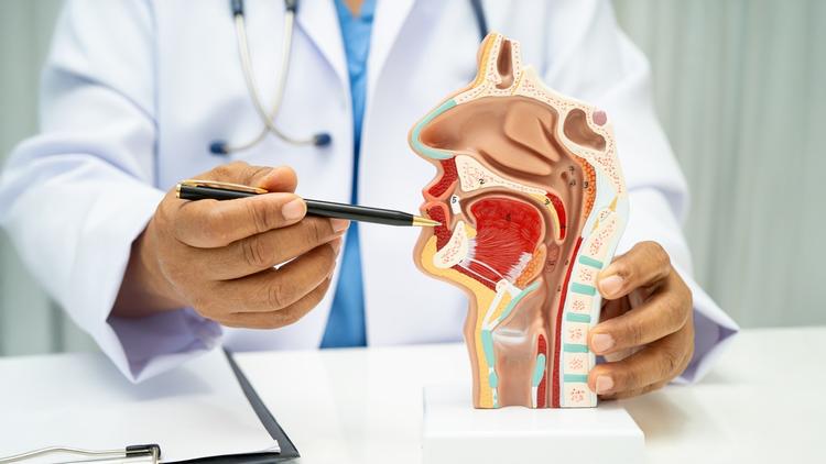 HPV e tabagismo no câncer de orofaringe