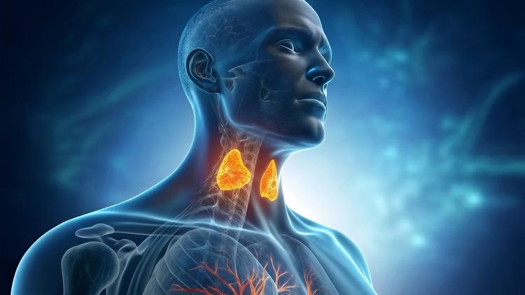 Guideline hipoparatireoidismo crônico 2025