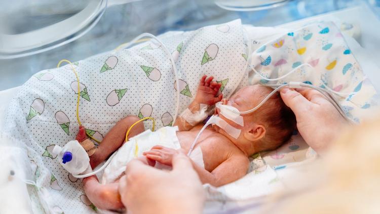 Infecção Perinatal por Enterovírus: repercussões maternas e neonatais