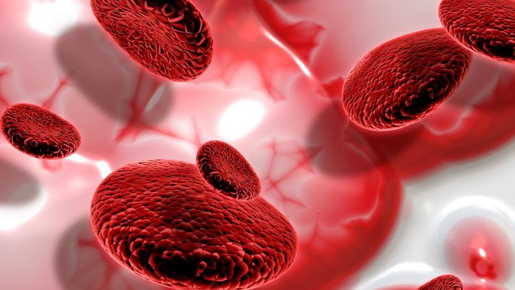 FDA aprova primeira terapia celular para anemia aplásica grave