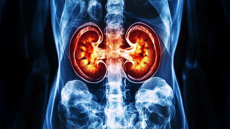 benmelstobart anlotinibe câncer renal