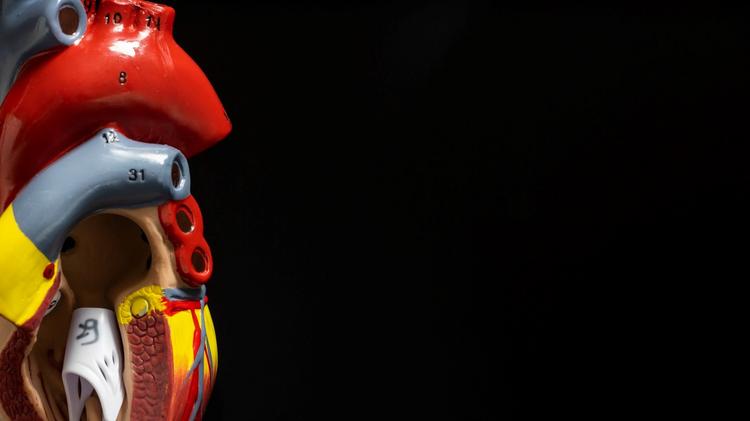 Segurança da troponina US no serviço de emergência