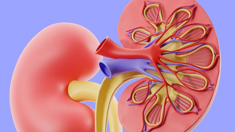Débito urinário e recuperação da função renal na lesão renal aguda pediátrica