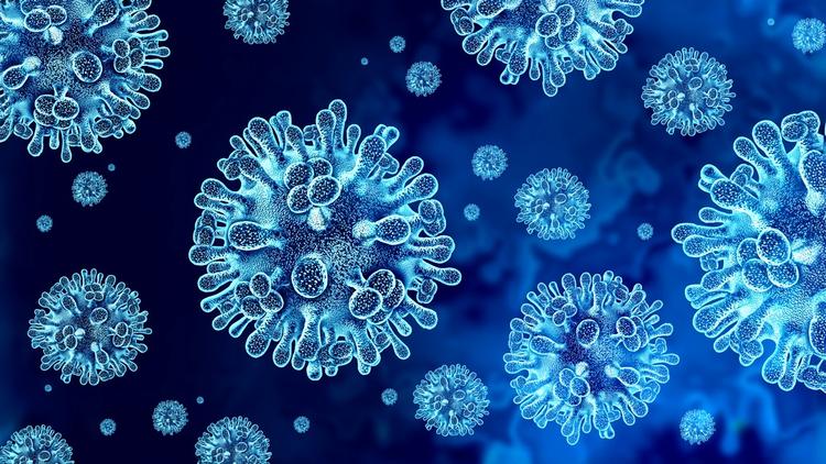 Nipah, gripe K e aviária: por que entraram no radar da infectologia em 2026