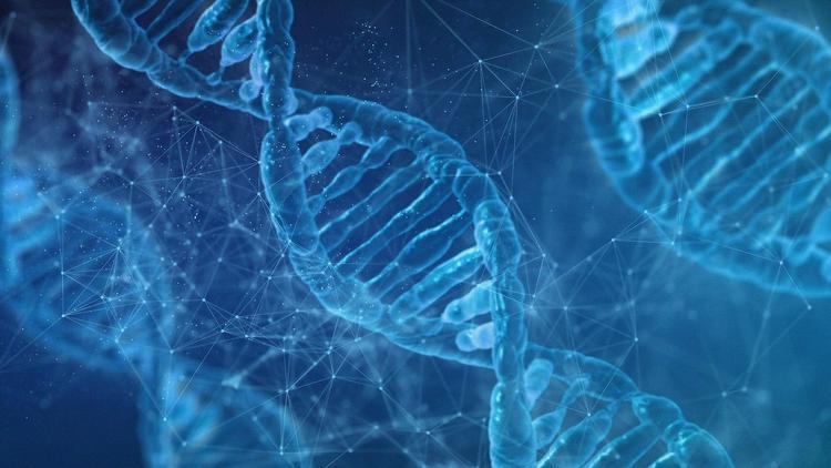 SUS passa a oferecer sequenciamento genético para diagnóstico de doenças raras