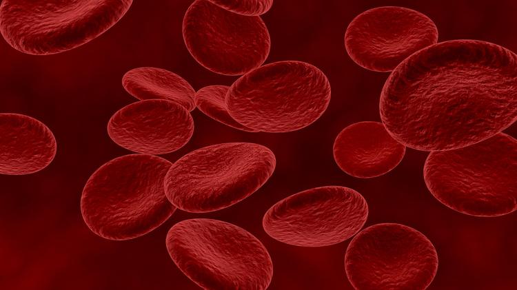 Anvisa aprova novo medicamento para tratamento da hemofilia