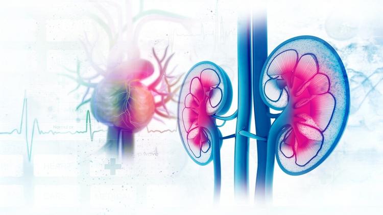 insuficiência cardíaca e doença renal crônica